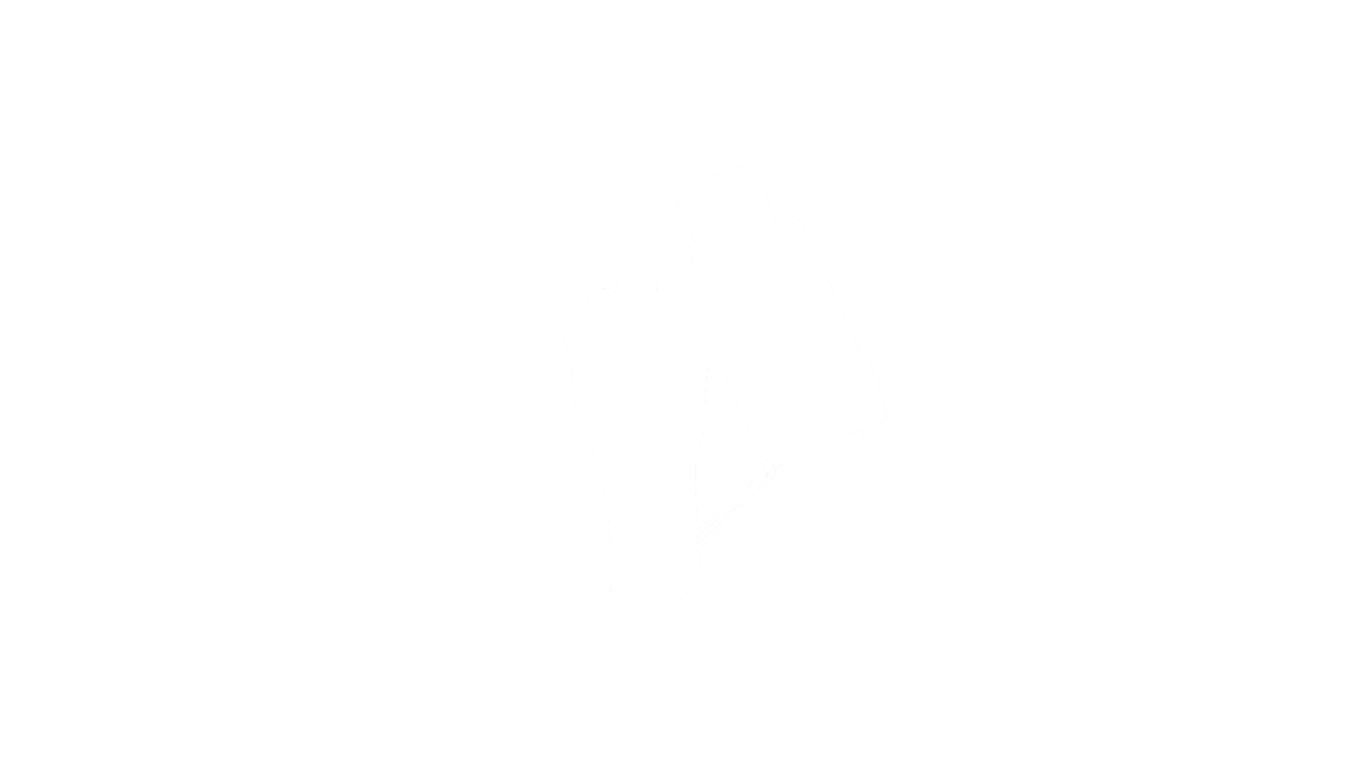 white-NETV-LOGO.png